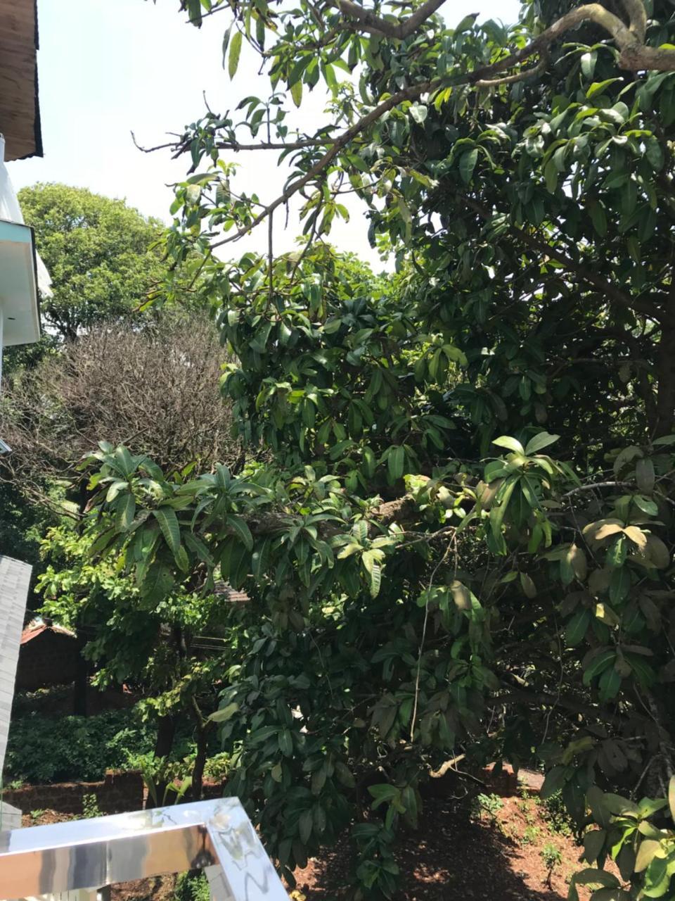 Rankk Stays Arambol Exterior photo